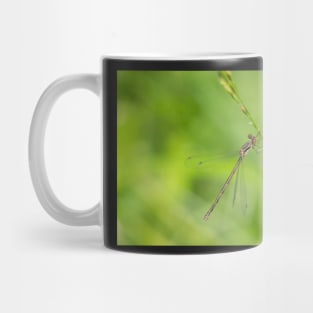 Wing Ding Mug